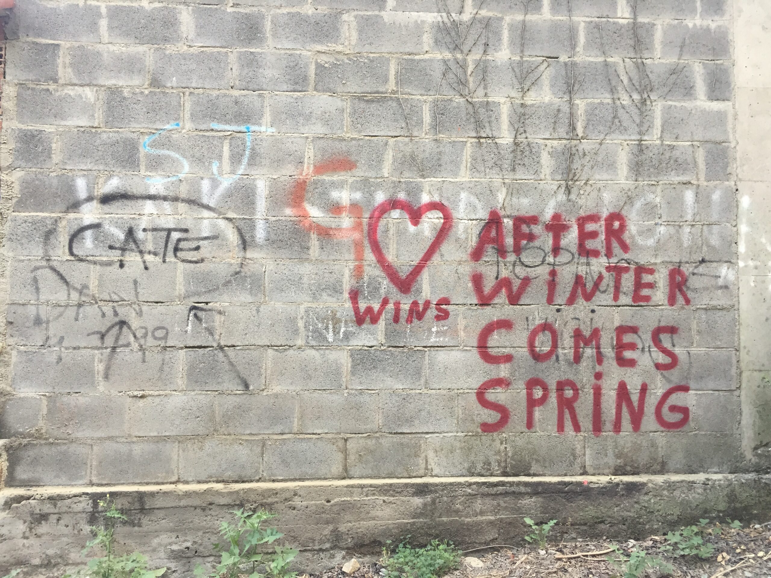 “Cate, after winter comes spring”, un messaggio per Caterina trovato sul Cammino di Santiago durante la sua separazione